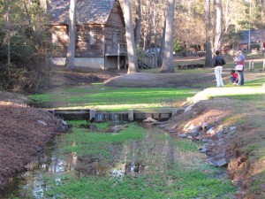 Parrotfeather in stream