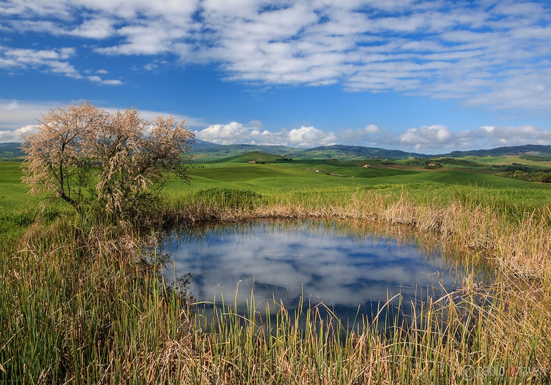 Natural pond